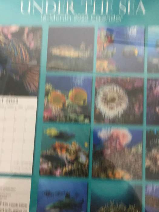 Under the Sea 2023 calendar Sealed new