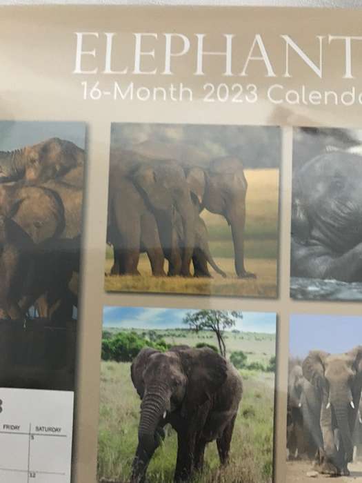 Elephants calendar 2023 Sealed New