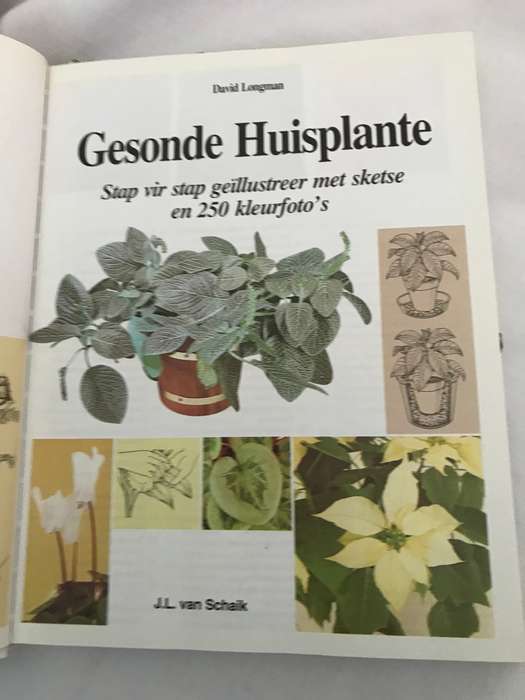 Gesonde Huisplante stap vir stap geillustreer 250 kleur fotos David Longman