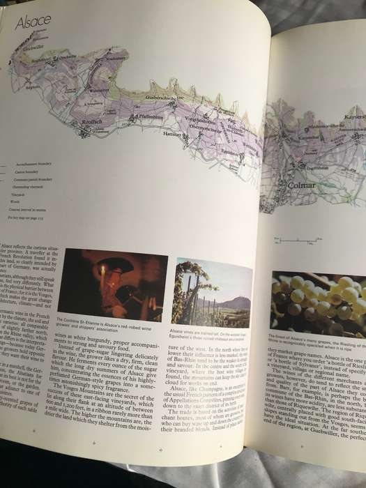 The world atlas of wine 288 pages