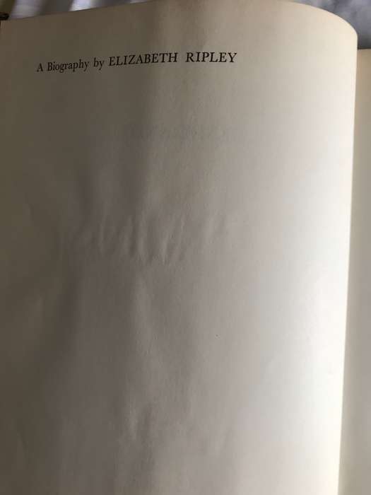Rembrandt a Biography by Elizabeth Ripley