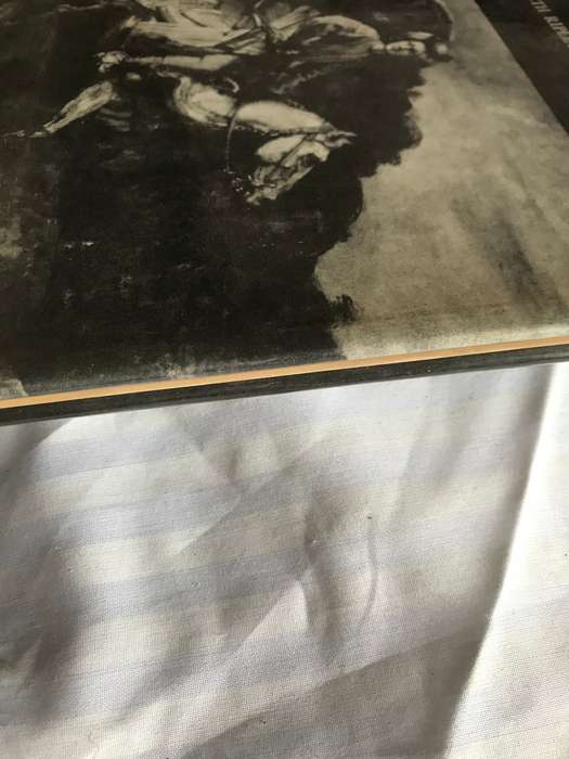 Rembrandt a Biography by Elizabeth Ripley