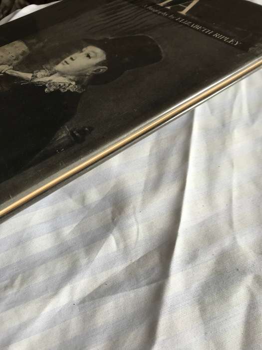 GOYA a Biography by Elizabeth Ripley