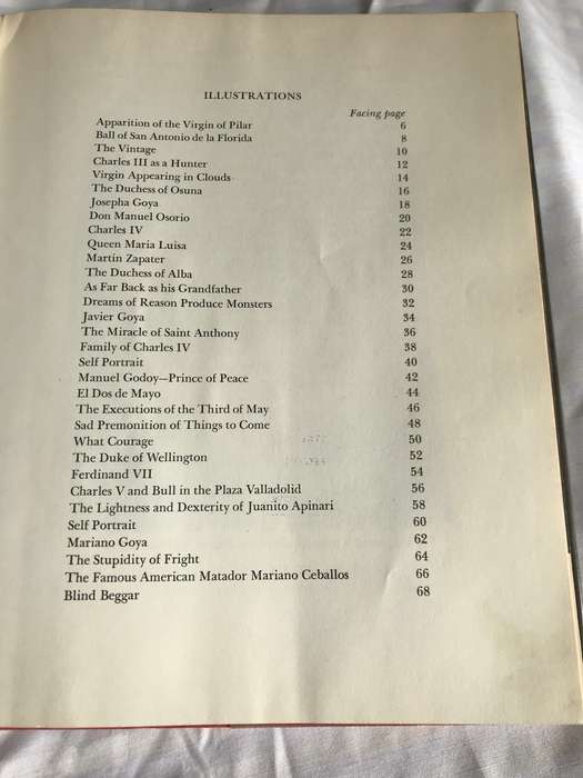 GOYA a Biography by Elizabeth Ripley