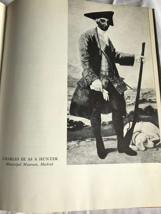 GOYA a Biography by Elizabeth Ripley
