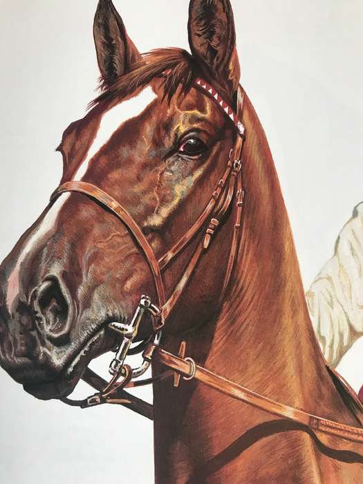 Great Horses  Champions of the turf and Internationally famous race courses
