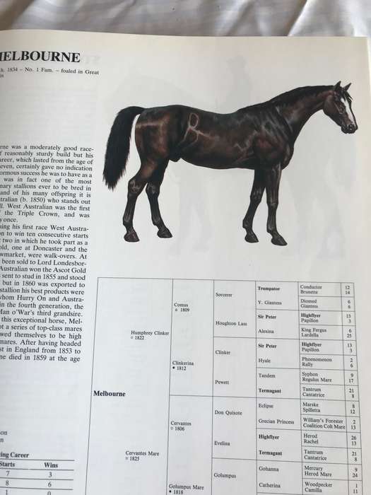 Great Horses  Champions of the turf and Internationally famous race courses