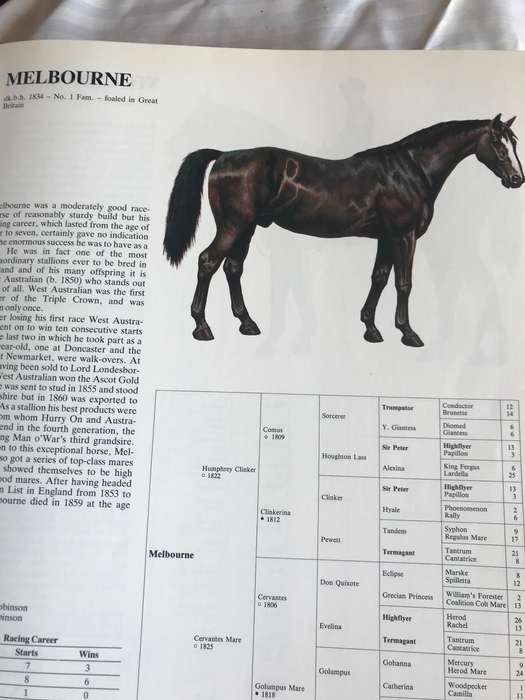 Great Horses  Champions of the turf and Internationally famous race courses