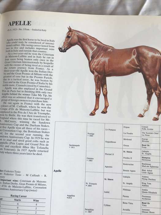 Great Horses  Champions of the turf and Internationally famous race courses