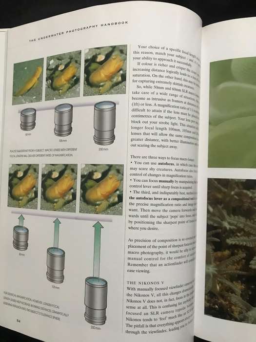 The Underwater Photography Handbook - including Videography Annemarie Kohler, Danja Kohler