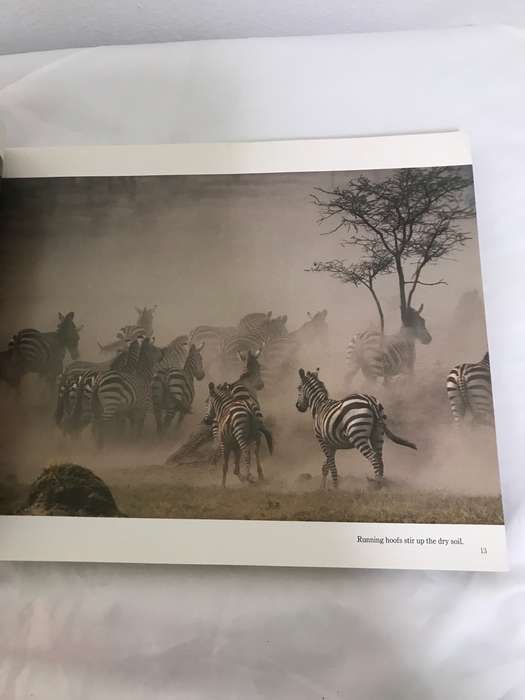 Serengeti by Mitsuaki Iwago