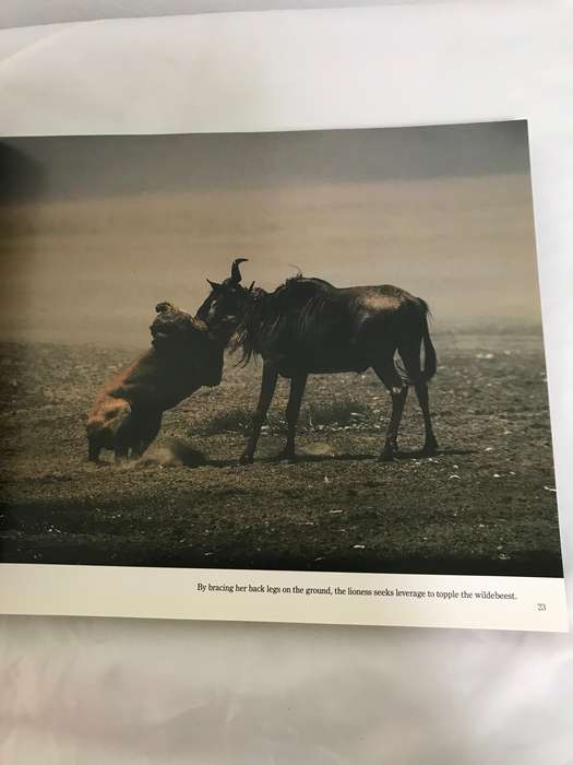 Serengeti by Mitsuaki Iwago