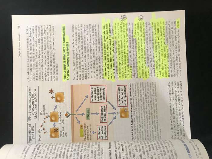 Basic Immunology: Functions and Disorders of the Immune System - Softcover Abbas, Abul K., Lichtman,