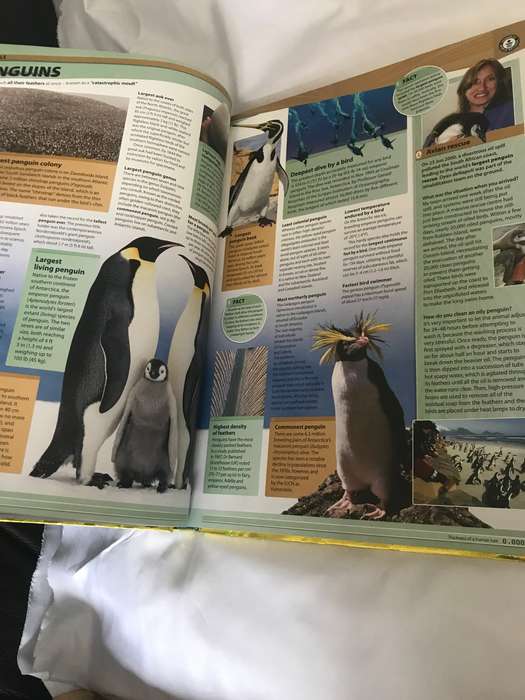 Guinness World Records 2016 by Guinness World Guinness World Records (Hardcover)