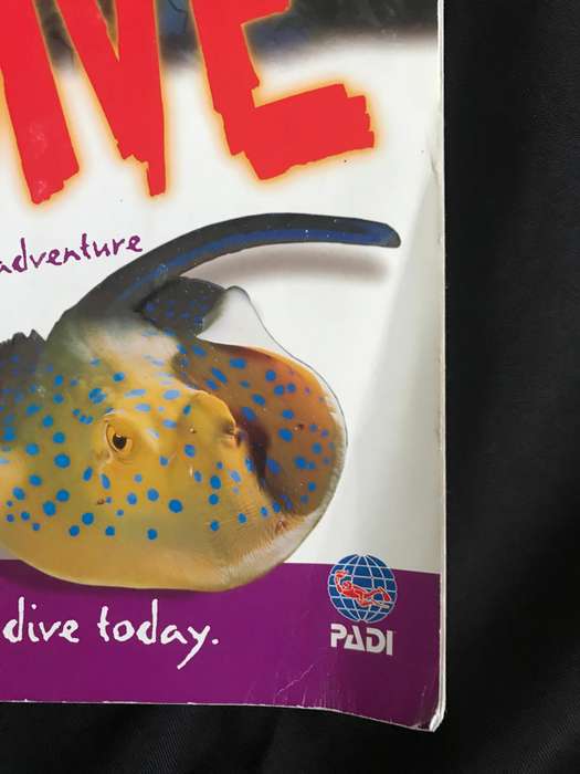 Go Dive (Experience intense adventure) learn to scuba dive today