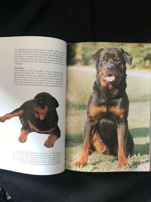 Rottweiler, Esther Verhoef