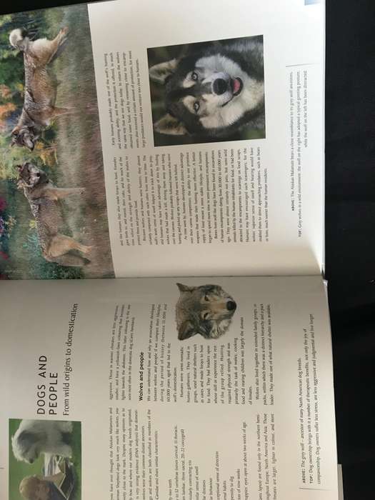 The Dog Owner's Handbook hardcover