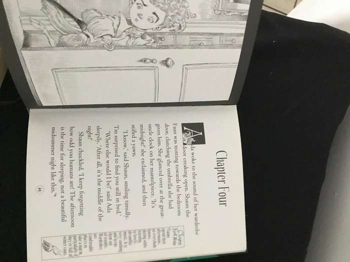 Goth Girl and the Sinister Symphony Chris Riddell and What about me too? Kate Figes