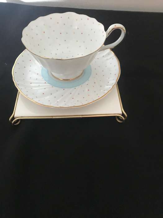 William James cup and saucer with Decorative Porcelain Tile Coaster Featuring Dog Portrait,