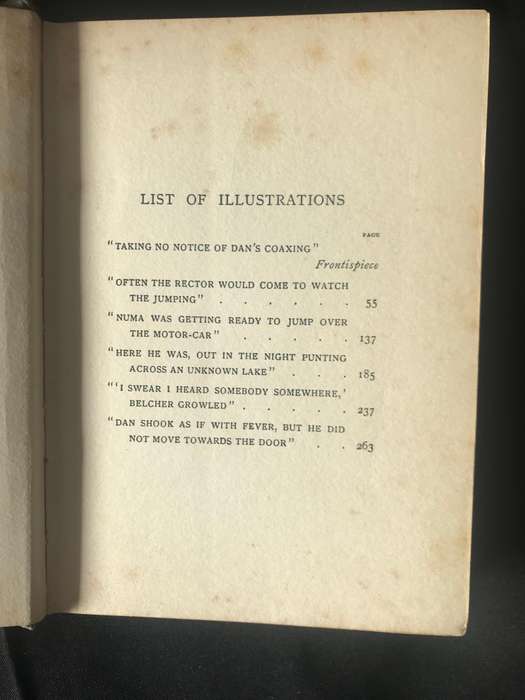 The Doings of Dick and Dan Sir James Yoxall, M.P. 1911 published in London