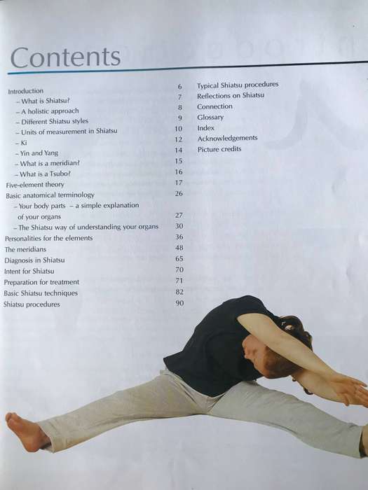 Shiatsu a Beginners Guide-Ray Pawlett