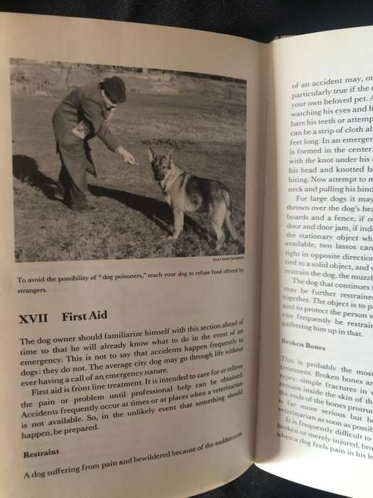 GERMAN SHEPHERD GUIDE DOG DOGS 1969