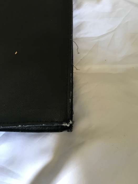 Thierry Mugler bag