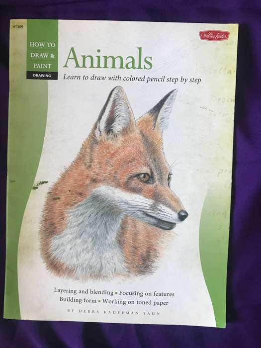 How to draw and paint: Animals leran to draw with colored pencil step by step