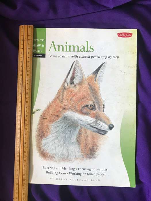 How to draw and paint: Animals leran to draw with colored pencil step by step