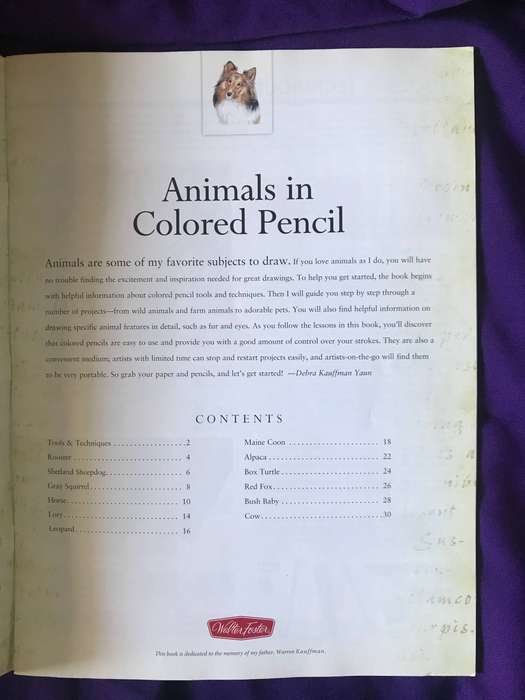 How to draw and paint: Animals leran to draw with colored pencil step by step