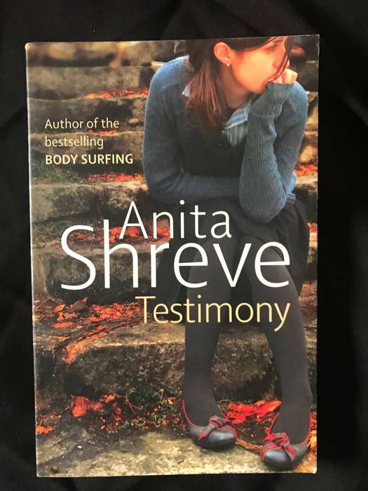 Anita Shreve Novels Lot 5