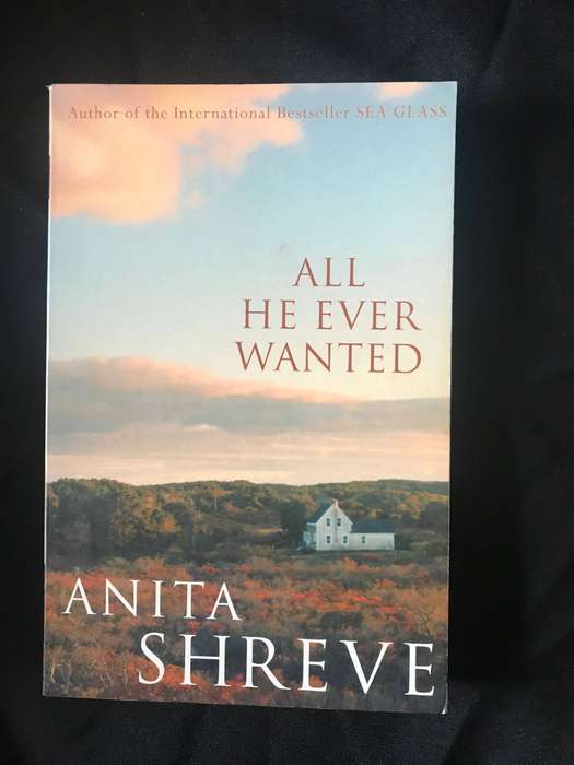 Anita Shreve Novels Lot 5