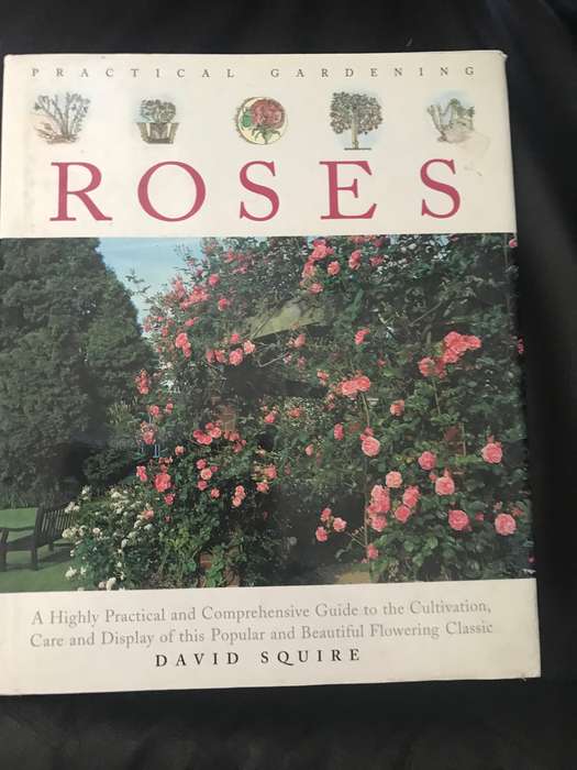 Roses Practical Gardening David Squire