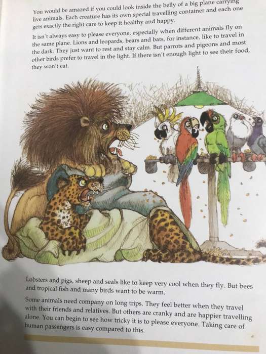 Childrens books x 3