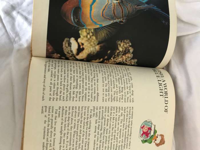 Disneys Wonderful World of Knowledge 1973