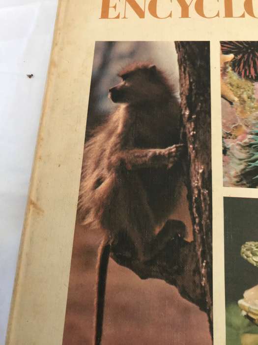 The International Wildlife Encyclopedia volume 1
