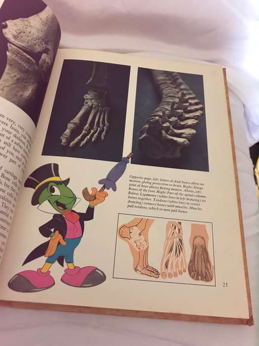 Disneys Wonderful World of Knowledge 1971,1973 production