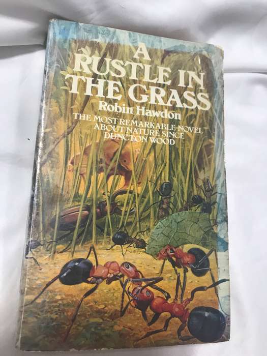 A Rustle in the grass Robin Hawdon