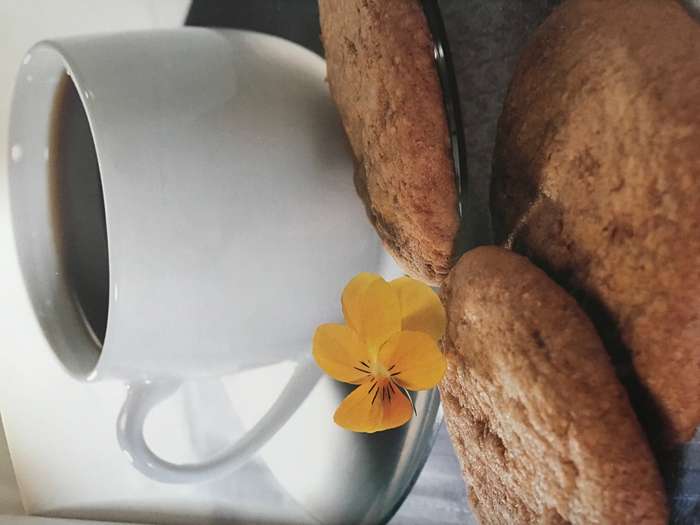 SUGAlite recipes for Diabetes and Slimmers