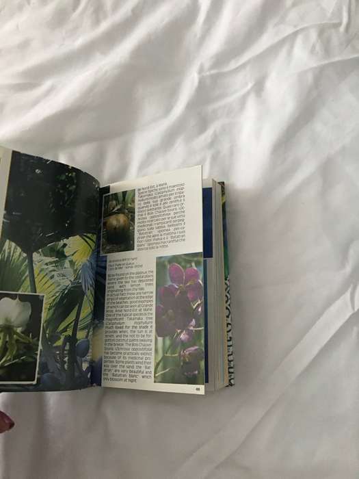 Seychelles in tasca Seyschelles in your pocket IV edition book Italiano-English