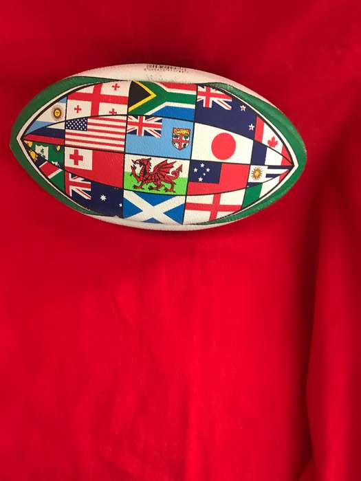 Rugby 2019 World cup Ball Collectable size 5