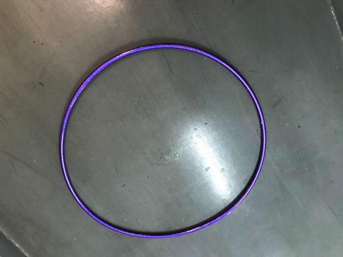 Professional Rhythmic Gymnastics  hoop inside a cover Purple