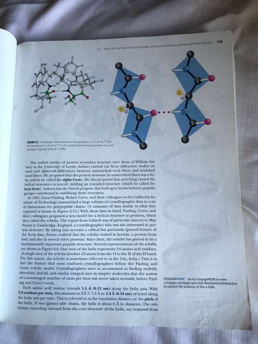 Biochemistry International Edition Paperback Reginald H. Garrett