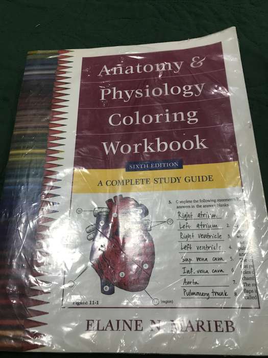 Anatomy And Physiology Coloring Workbook 6 edition by Elaine N Marieb