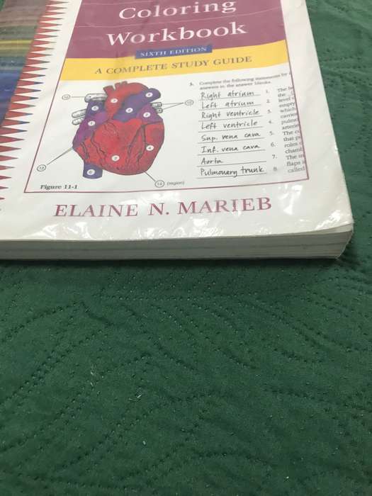 Anatomy And Physiology Coloring Workbook 6 edition by Elaine N Marieb