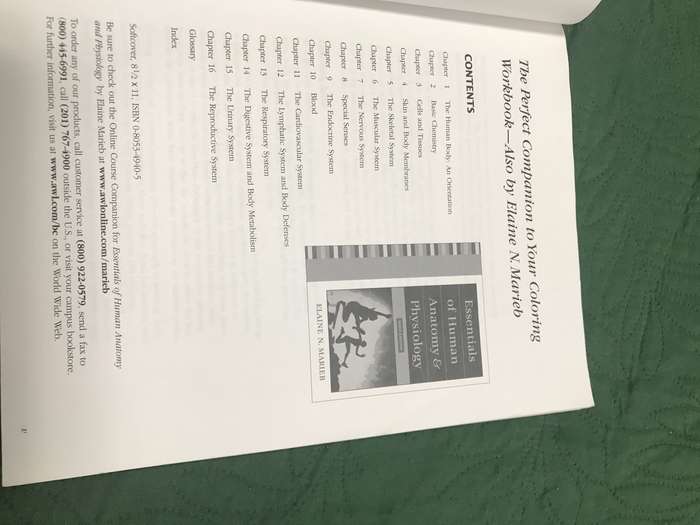 Anatomy And Physiology Coloring Workbook 6 edition by Elaine N Marieb