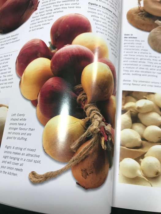 The Onion Cookbook (By Brian Glover) Hardcover