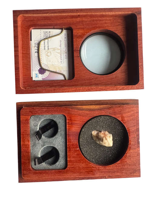 Heritage Site Original SA Mint Brown Box Holds  2 x Qaurter Ounce Gold Coin Encapsuled  Coin