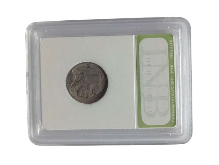 Indian Head / Buffalo Nickel - Year - 1913-1938 - International Numismatic Bureau