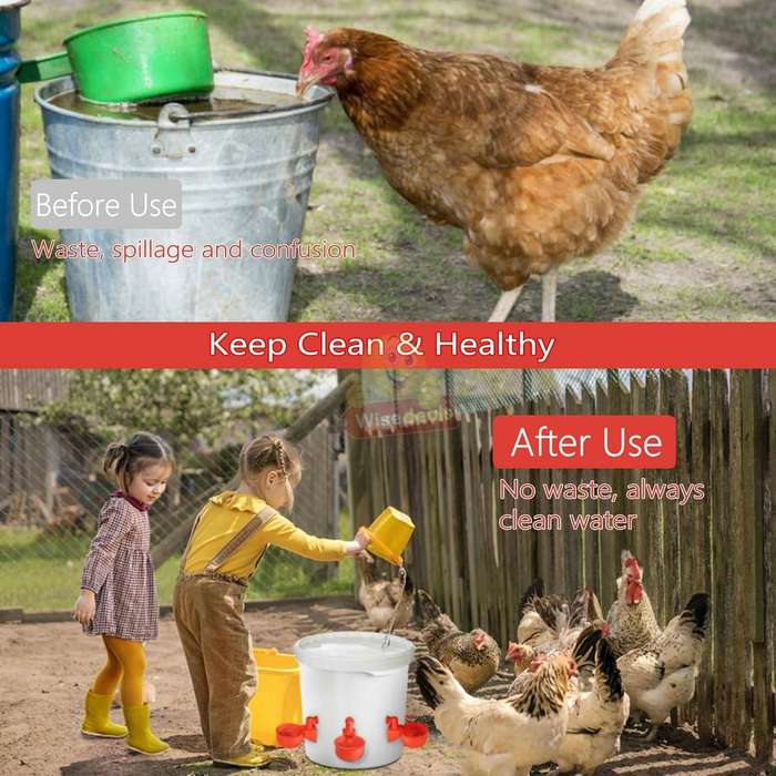 5 Piece Chicken Water Feeders with attachments
